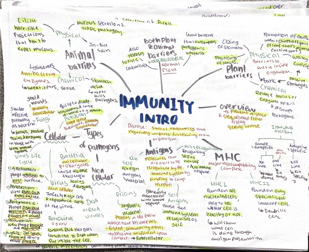 AOS 3 - Biology 2024 Immunity Summary Notes - Studocu