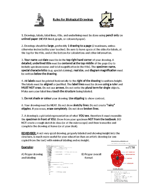 CSEC HSB 01253020 Jan 2024 Paper 02 Exam Guide & Instructions - Studocu
