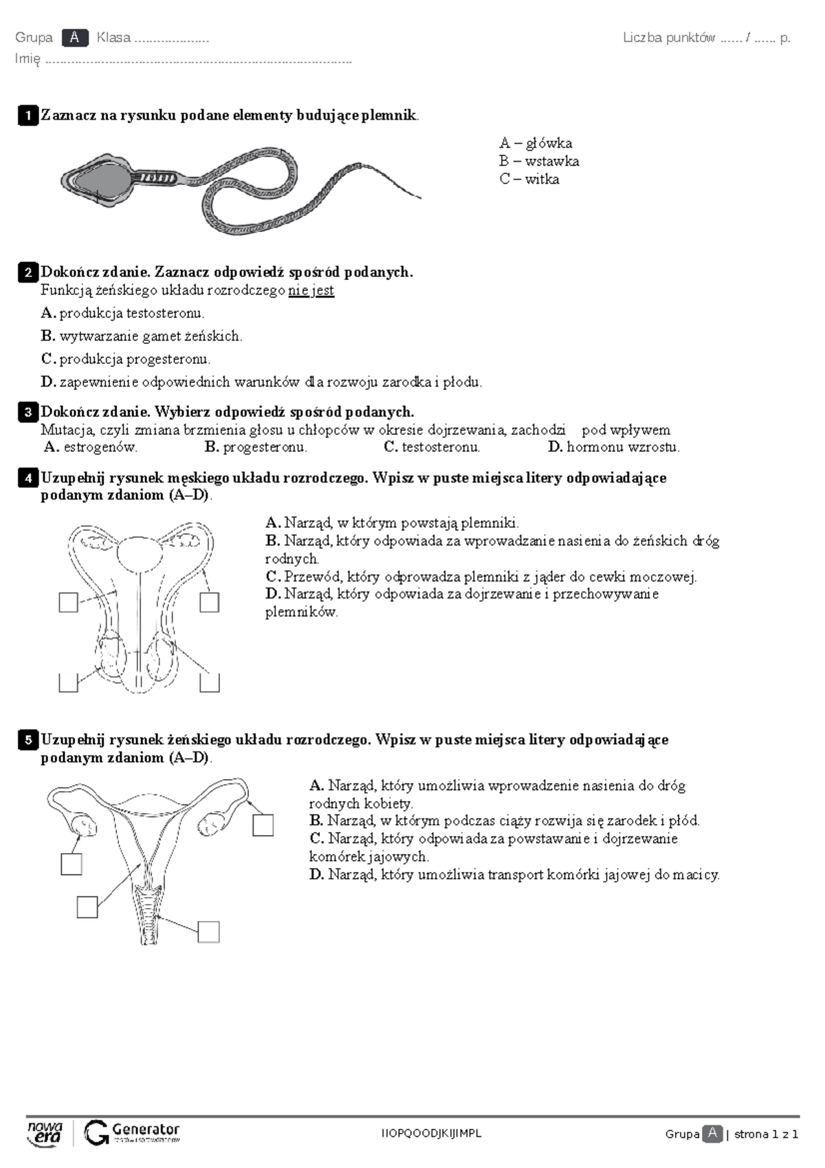 Sprawdzian Biologia Układ Rozrodczy Gimnazjum Wsip www.studocu.com