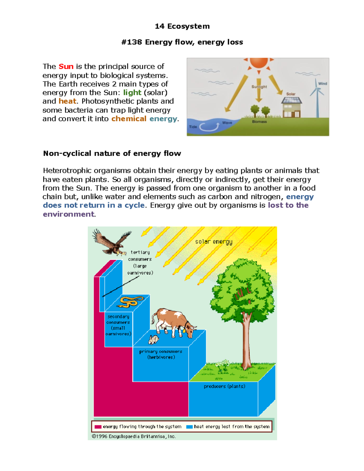 Ecosystem Biology Notes - 14 Ecosystem #138 Energy flow, energy loss ...