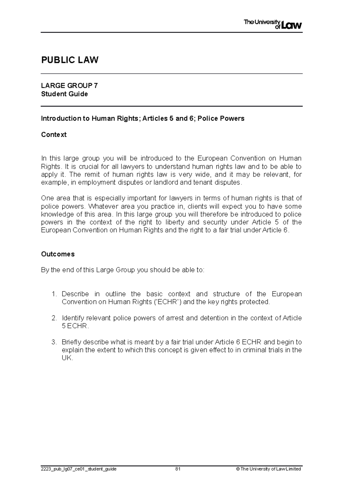 Public Law 7 - Overview of Human Rights & Police Powers (Art. 5 & 6 ...