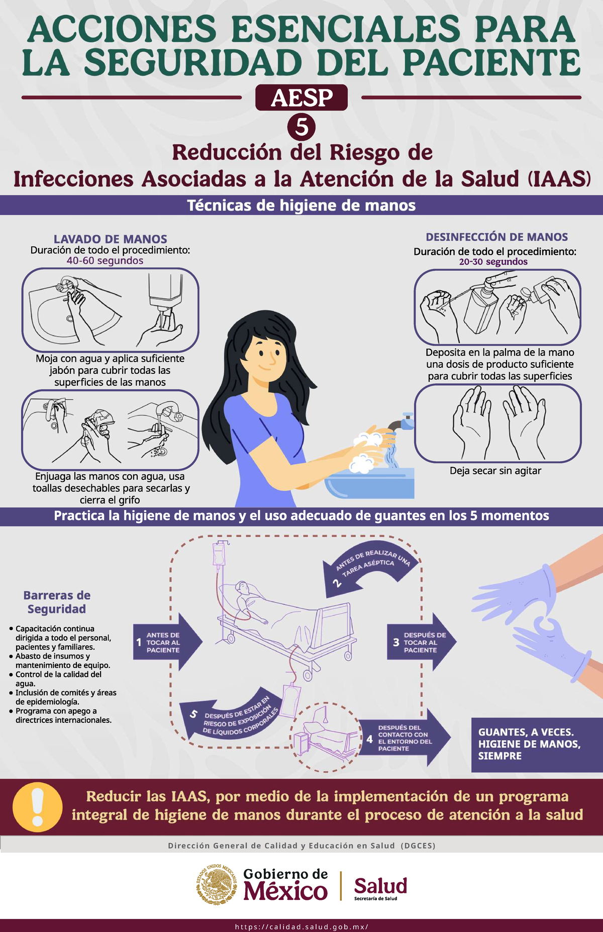 AESP Infografías sobre Procedimientos de Higiene y Seguridad en Salud ...