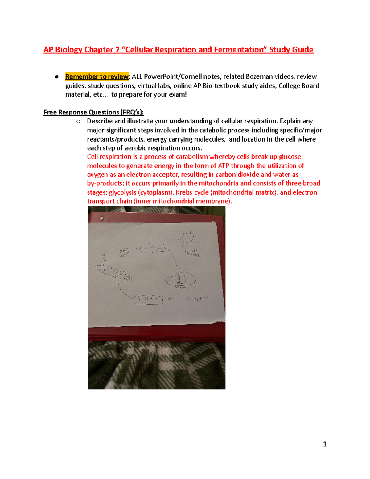 AP Biology Ch - kjkj - AP Biology Chapter 7 “Cellular Respiration and ...