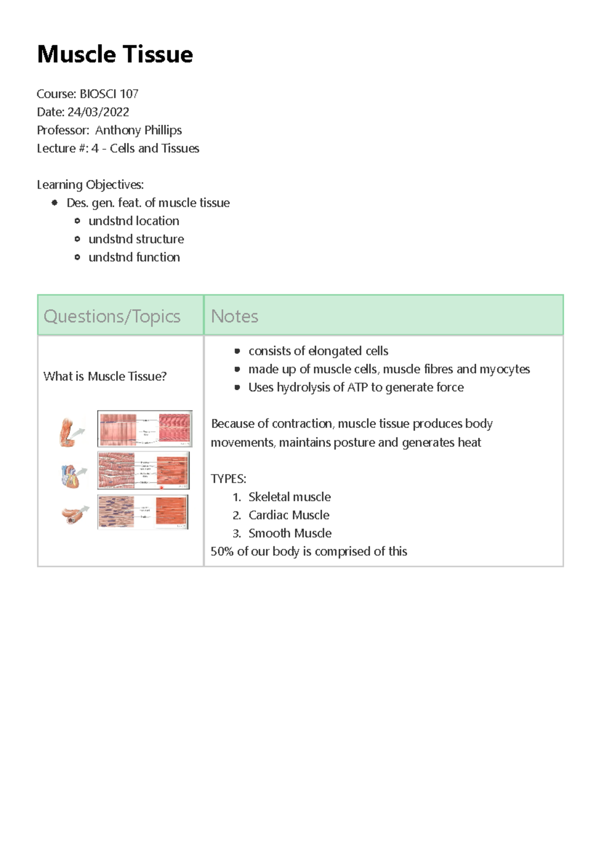 BIOSCI 107: Muscle Tissue Overview - Lecture 4 Notes - Studocu
