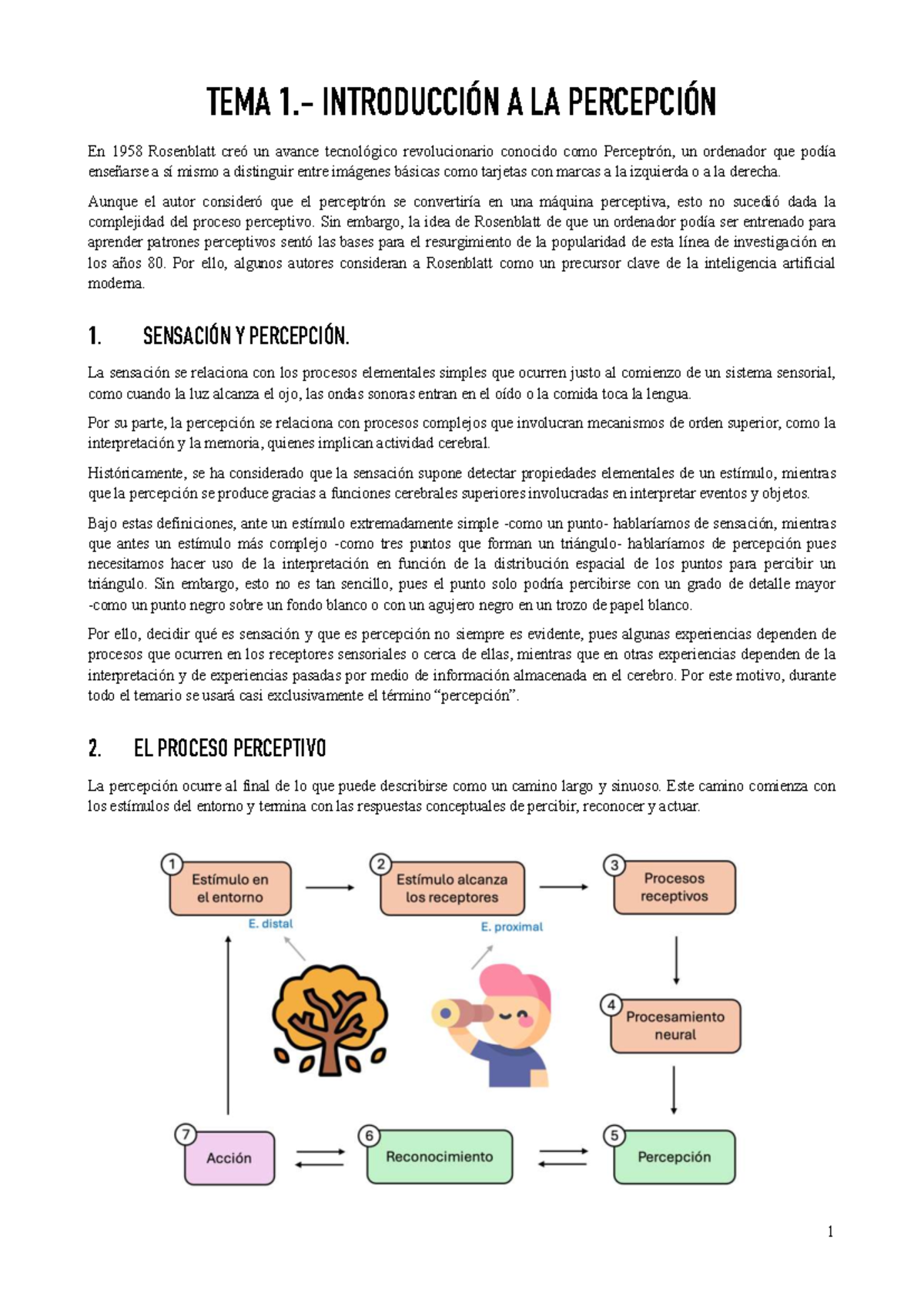 TEMA 1: INTRODUCCIÓN A LA PERCEPCIÓN - APUNTES DE CLASE - Studocu