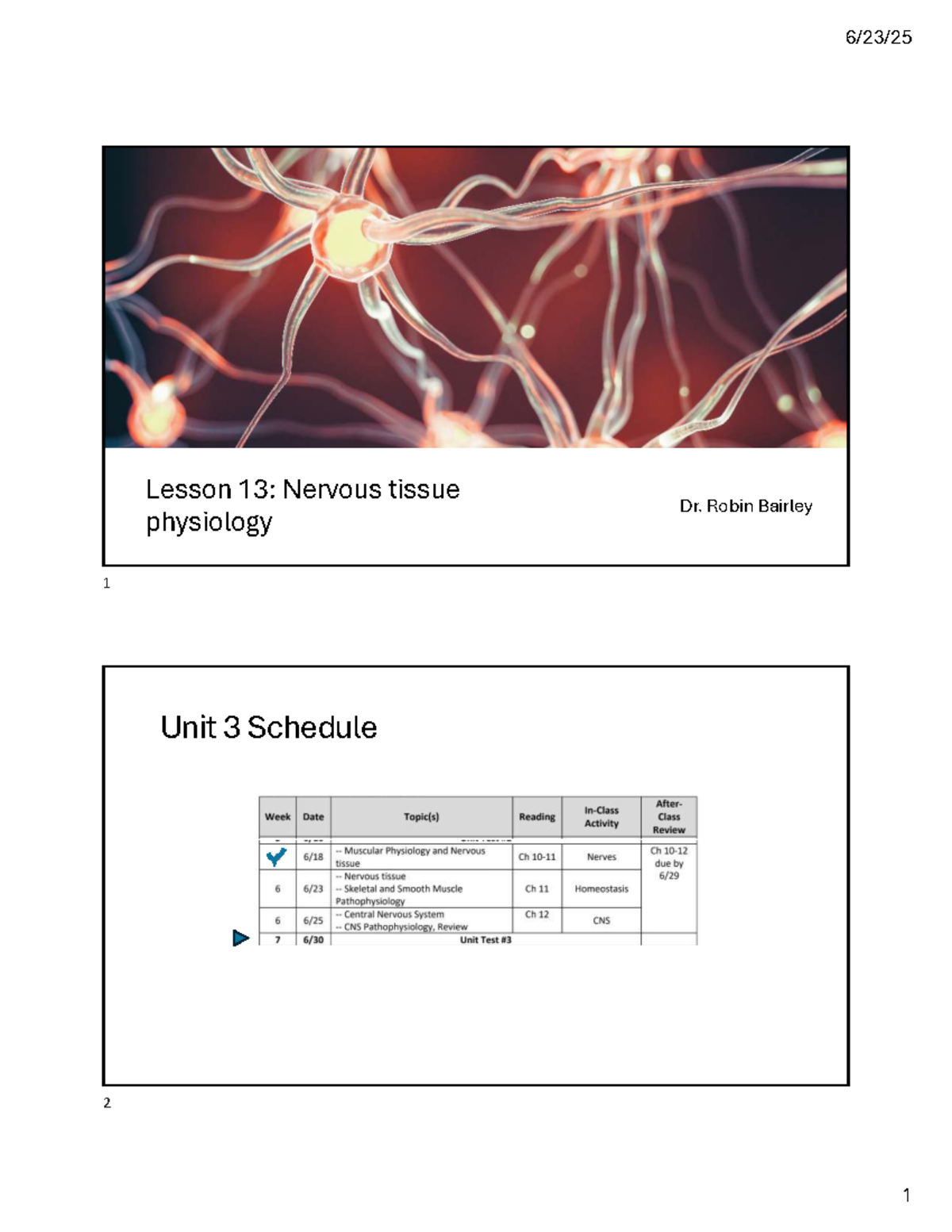 Lesson 13: Nervous Tissue Physiology - Key Concepts & Functions - Studocu