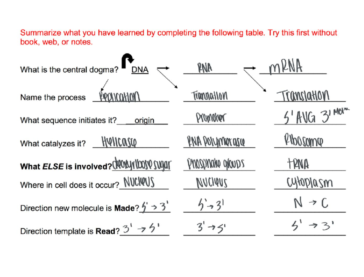Draw to Learn-14-17 - BIOL 1610 - Summarize what you have learned ...
