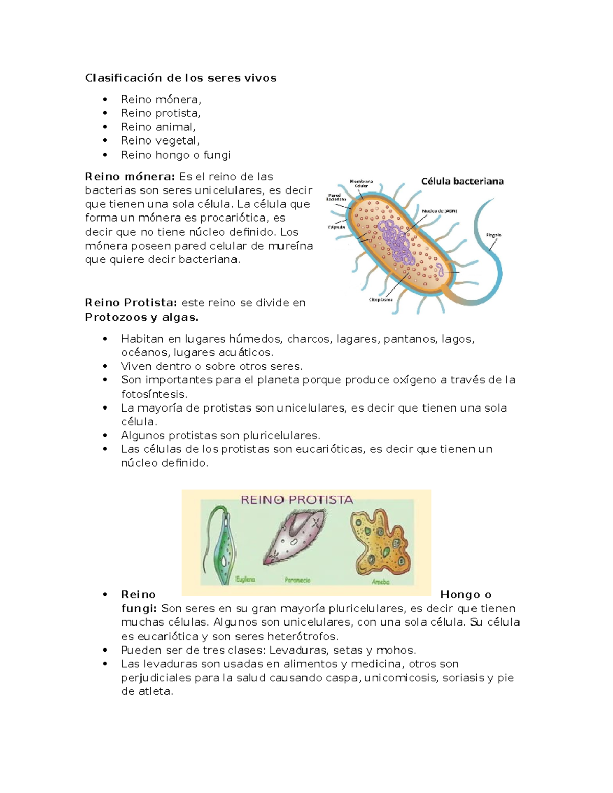 Clasificación de los Reinos de los Seres Vivos: Mónera, Protista, Hongo -  Studocu