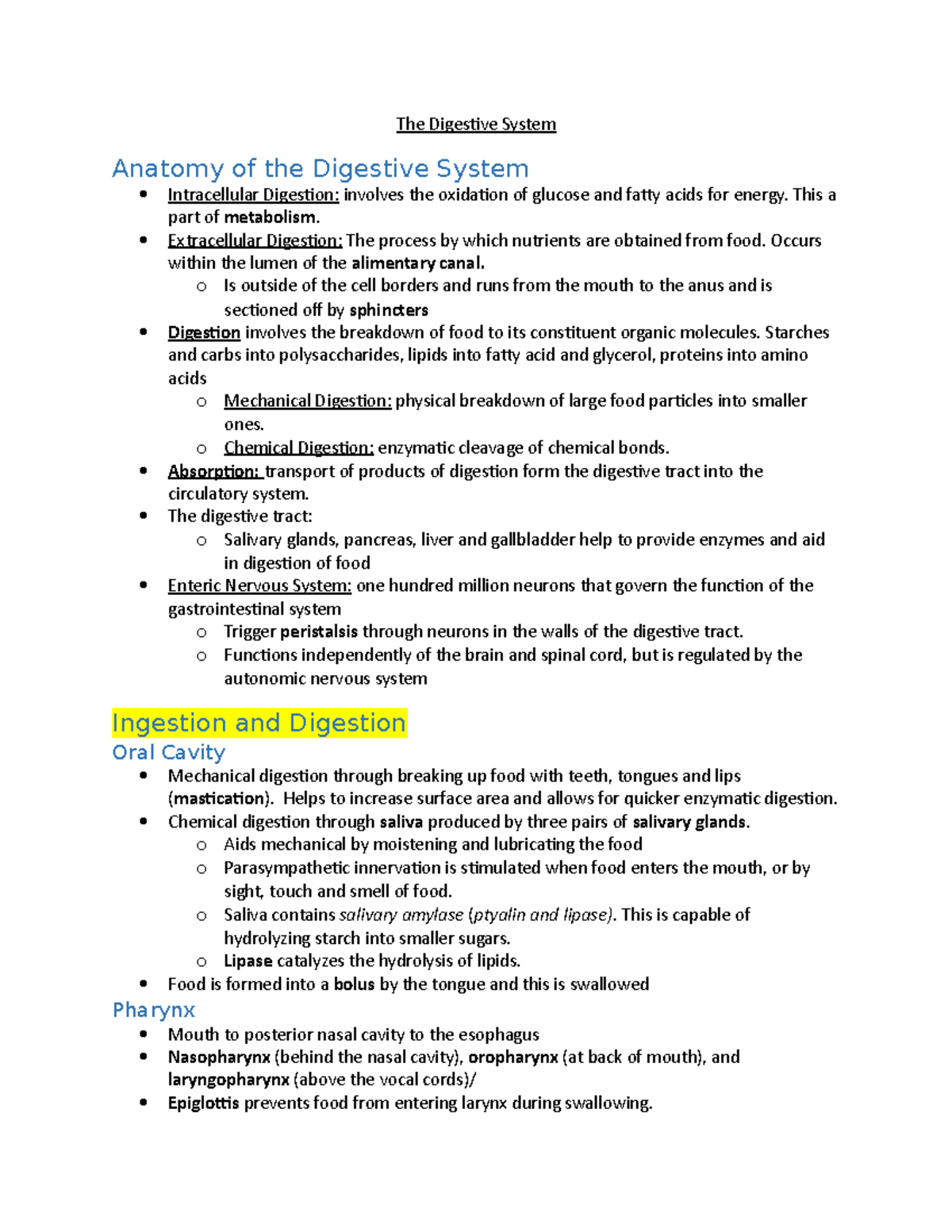 The Digestive System - detailed notes - The Digestive System Anatomy of ...