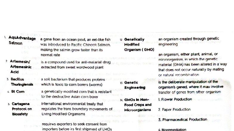 GMO Science and Health Overview: Impacts and Innovations - Studocu