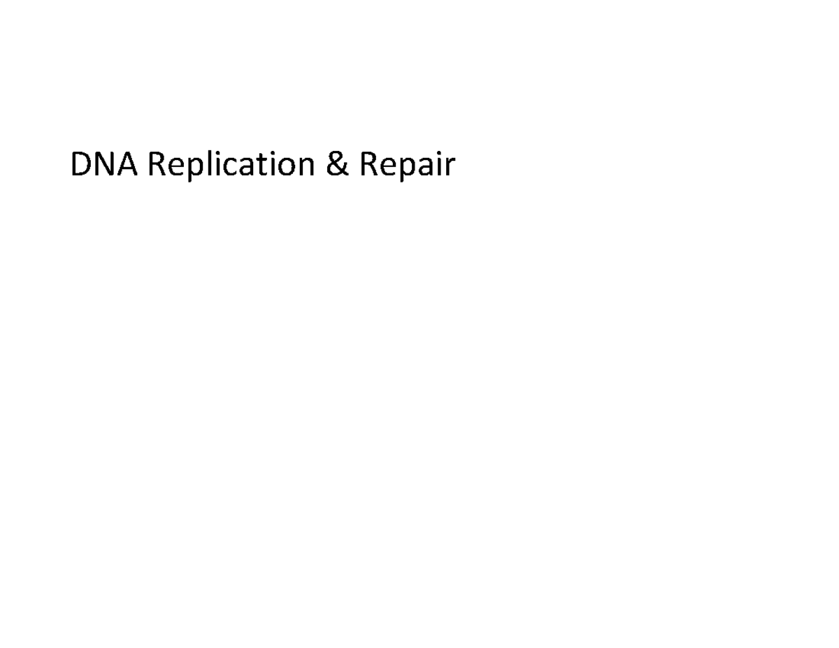 DNA Replication & Repair Mechanisms Overview: Course XX-YYYY - Studocu