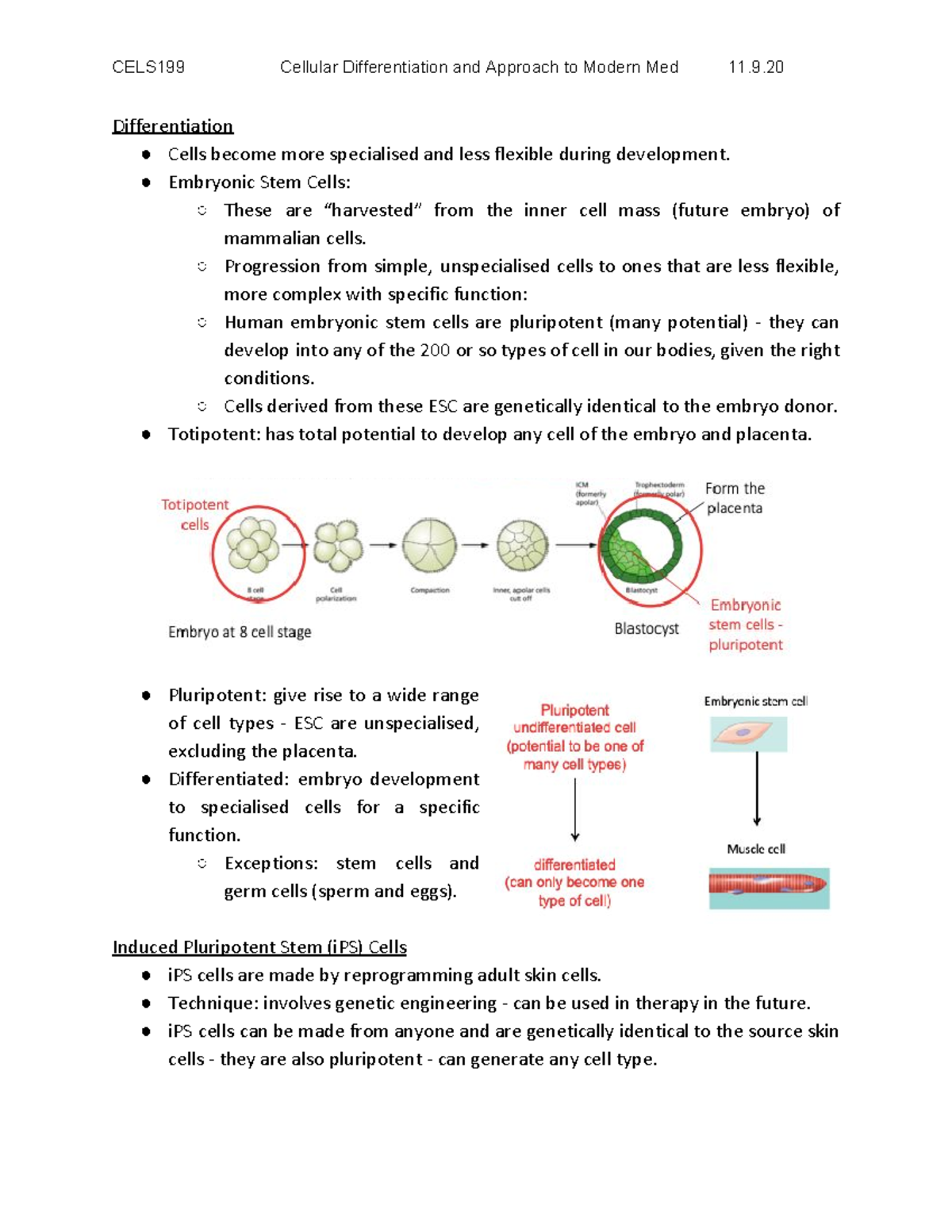 Cellular Differentiation and Approach to Modern Med - Cellular Biology ...