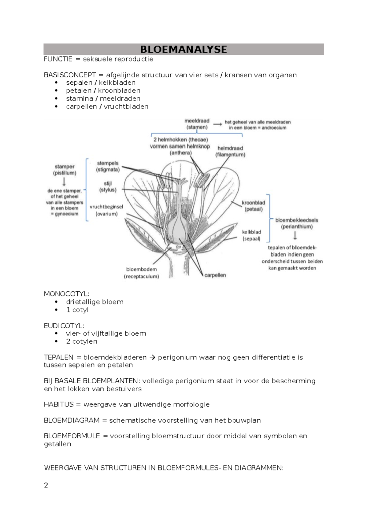 bloemanalyse-functies-structuren-en-diagrammen-van-bloemen-studocu