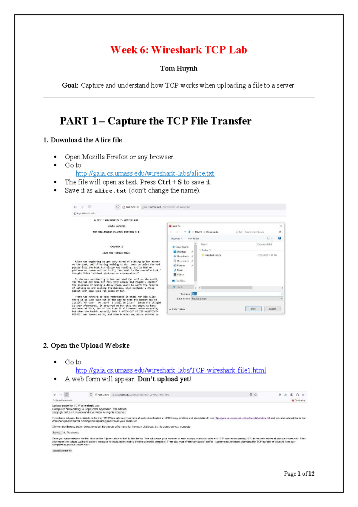 Week 6: TCP File Transfer Lab Instructions & Answers (CS101) - Studocu