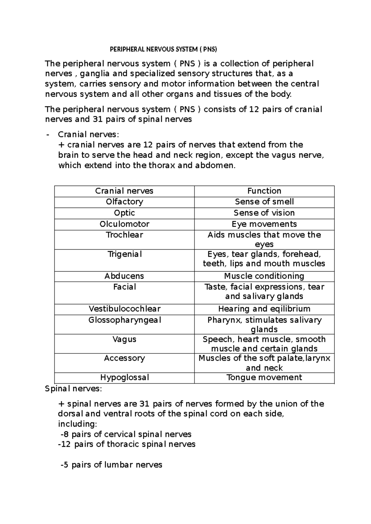 Peripheral Nervous System (PNS) Overview and Functions - Studocu