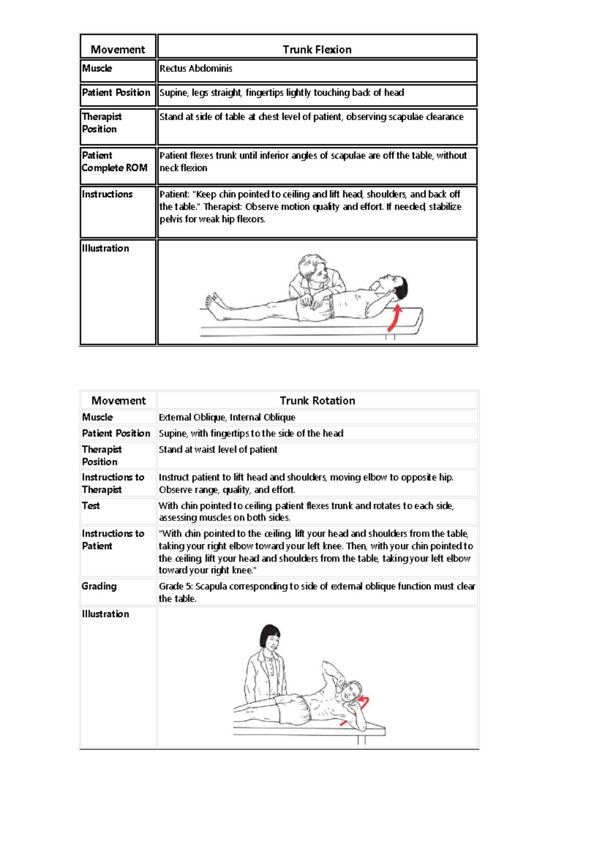 Manual Muscle Testing Techniques for Trunk and Scapula Movements - Studocu