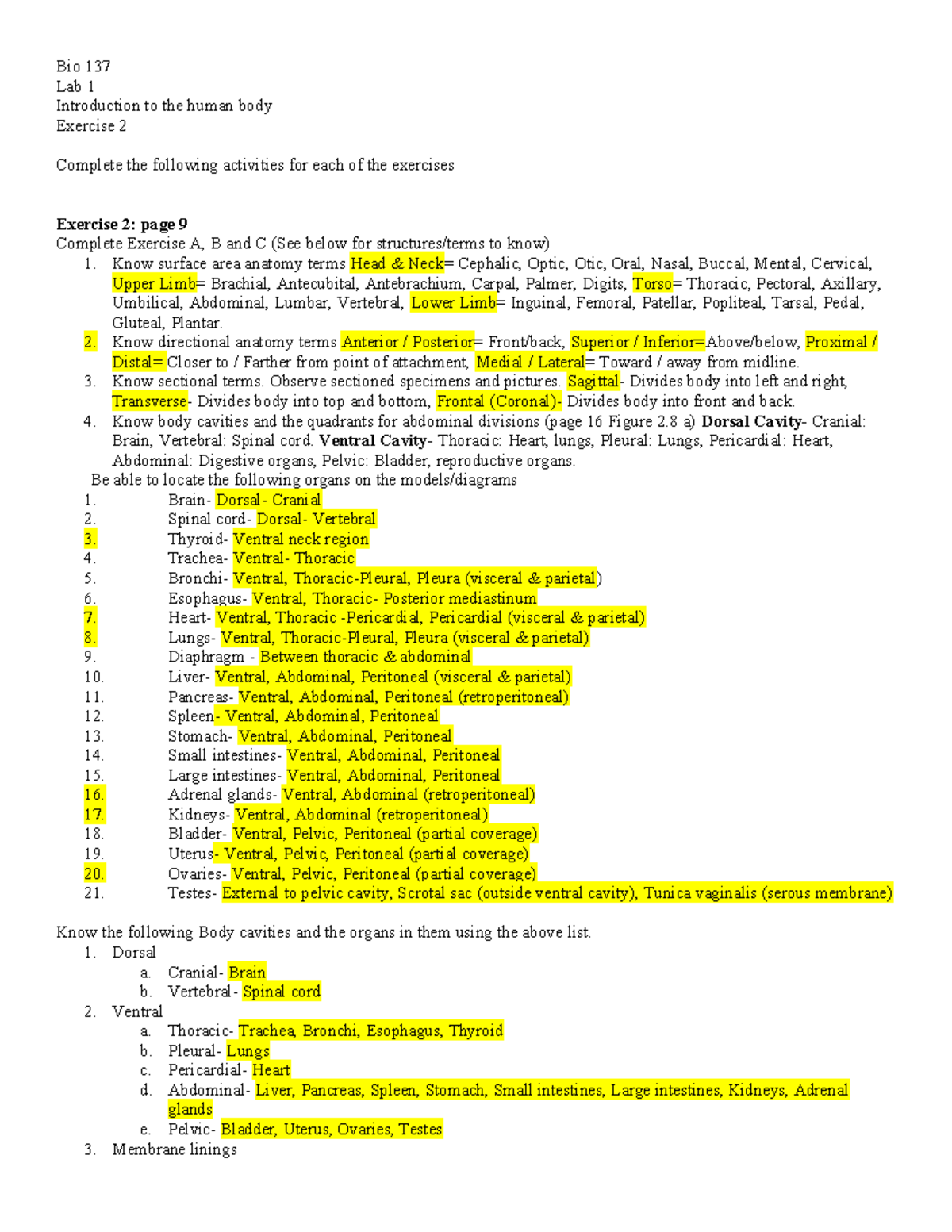 Bio 137 Lab 1: Introduction to Human Body Anatomy Terms and Activities ...