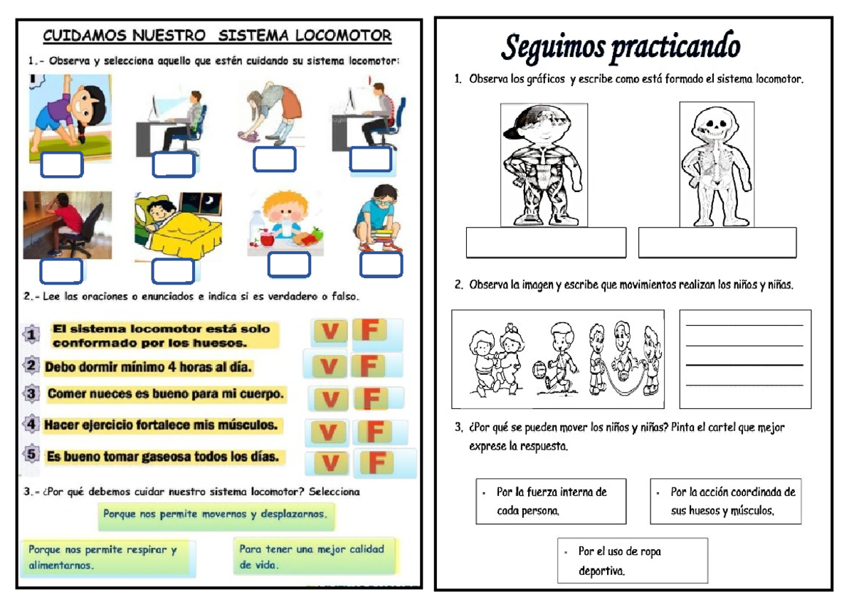 CUIDANDO NUESTRO SISTEMA LOCOMOTOR - Actividades y Reflexiones - Studocu