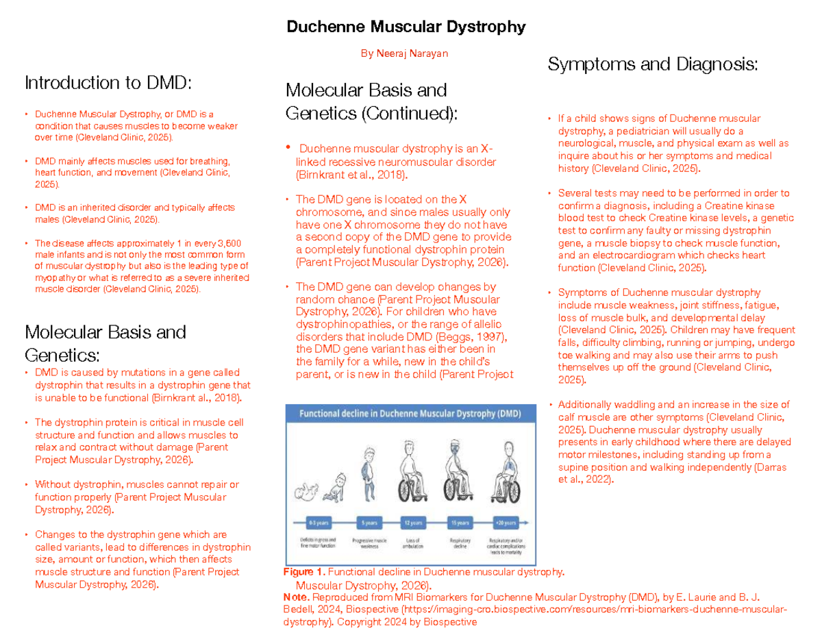 DMD 101: Comprehensive Overview of Duchenne Muscular Dystrophy