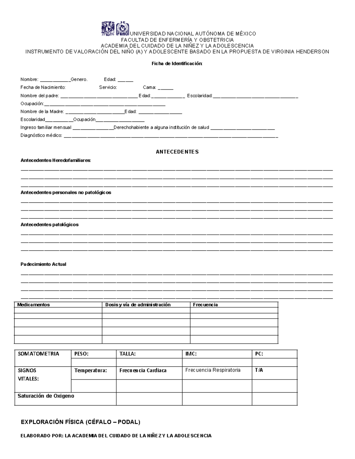 Instrumento de Valoración Pediátrica - Proposal Virginia Henderson - Document Preview