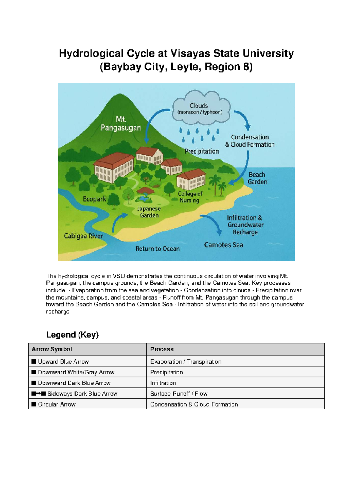 VSU Hydrological Cycle Overview and Key Processes - Studocu