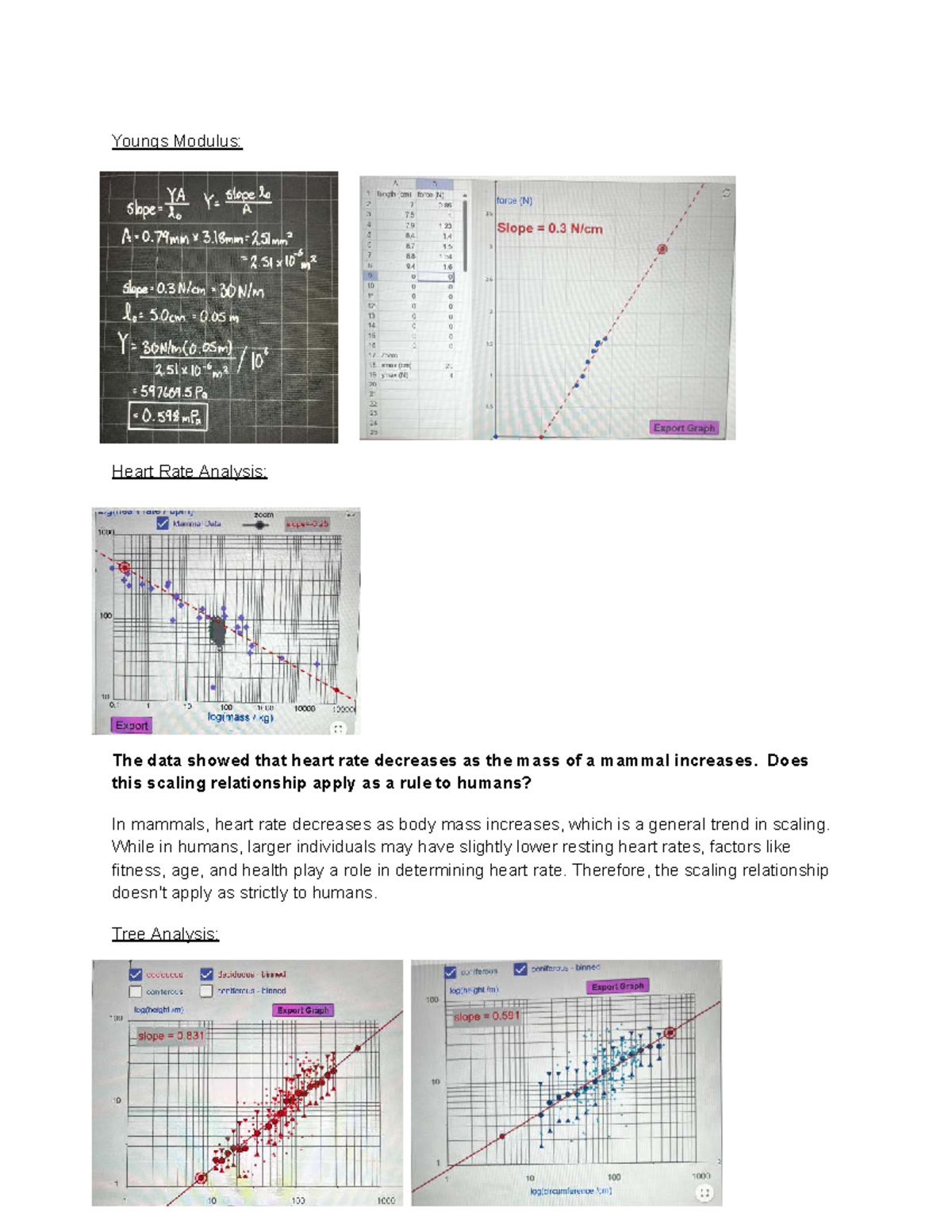 Lab 2 Part B - completed lab - Youngs Modulus: Heart Rate Analysis: The ...