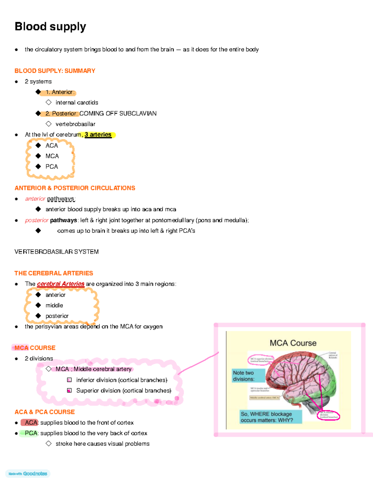 Circulatory System Overview: Blood Supply to the Brain (Course Code ...