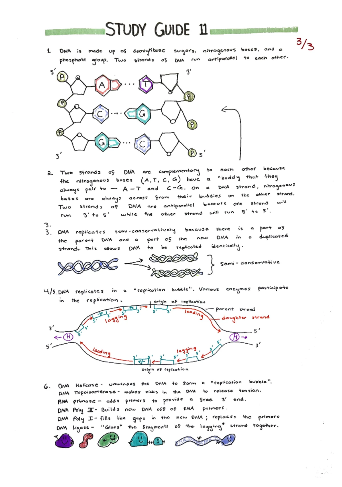 BIO 1111- Chapter 3 Study Guide - STUDY GUIDE 3 1. A dehydration ...