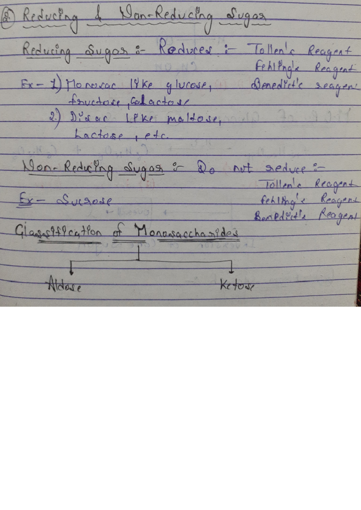 Biomolecules Overview and Types Study Guide - Studocu