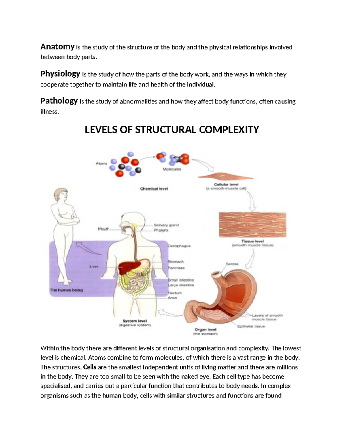 Introduction to Anatomy and Physiology (BIO 101) - Studocu
