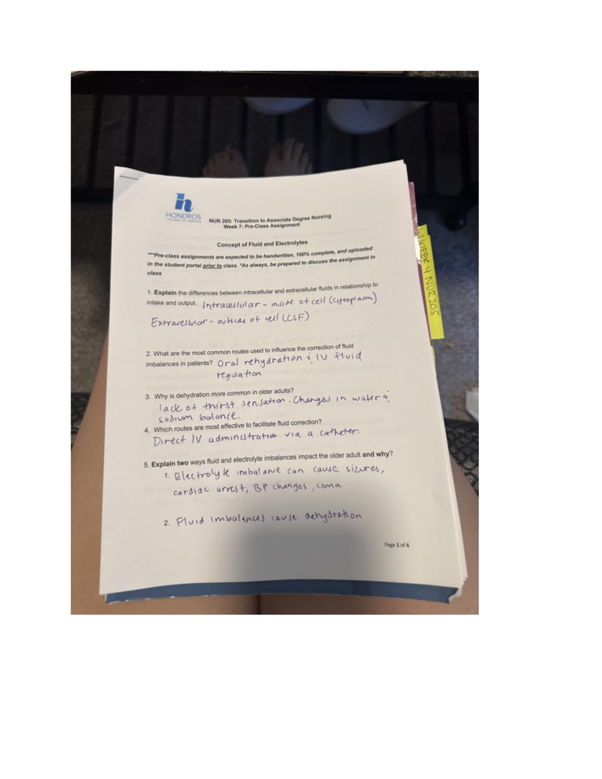 NUR205 Pre Class Assignment - Week 7 Overview and Insights - Studocu