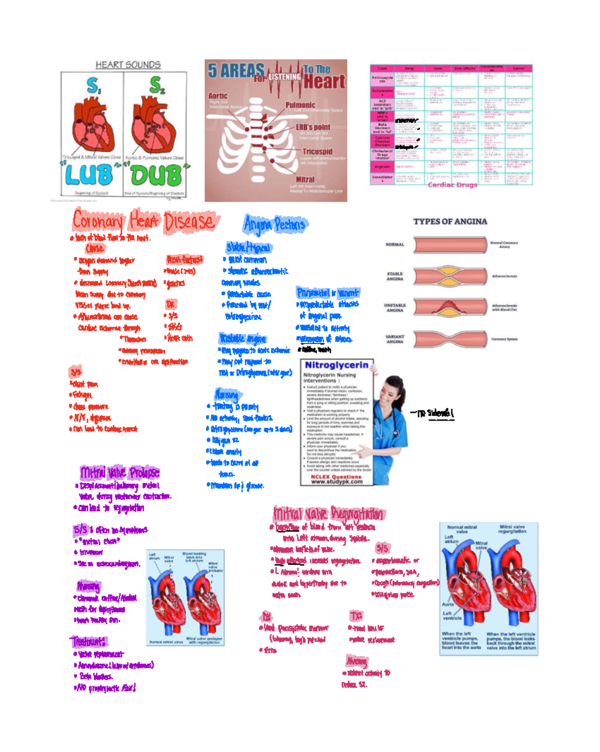 Cardiac Nursing Notes: Risk Factors & Management (NUR 101) - Studocu