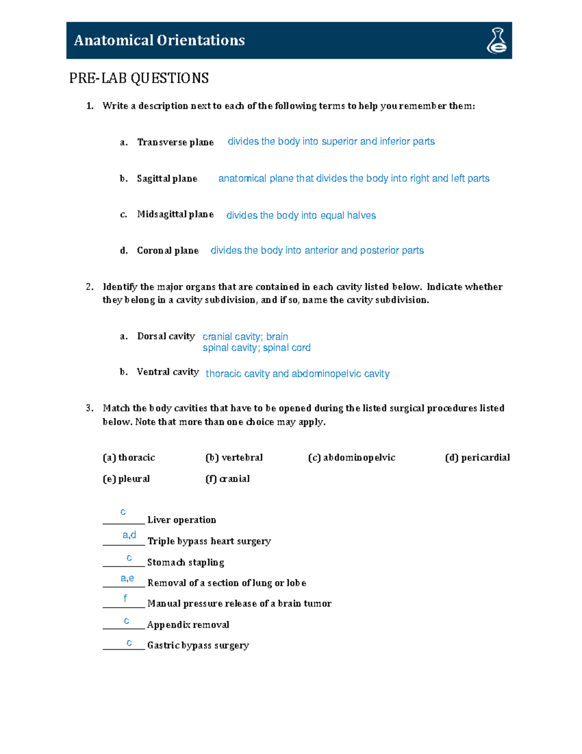LAB 1: Bio 231 Anatomy & Physiology Pre-Lab and Post-Lab Questions ...