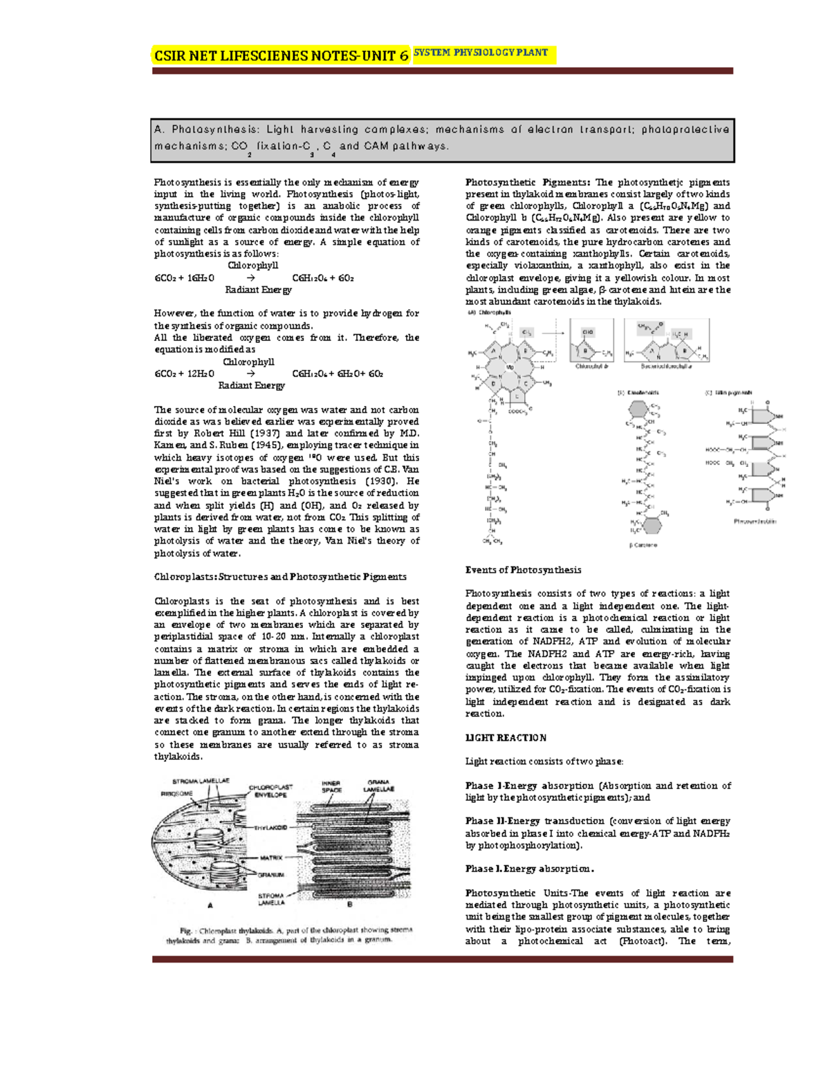 CSIR Unit 6 - Comprehensive Photosynthesis Notes - Studocu