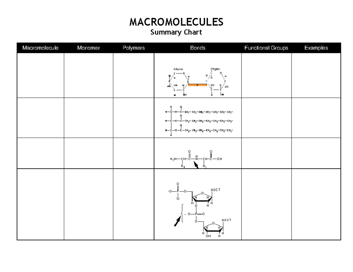 Macromolecule Summary Chart - HLS 2123 - MACROMOLECULES Summary Chart ...