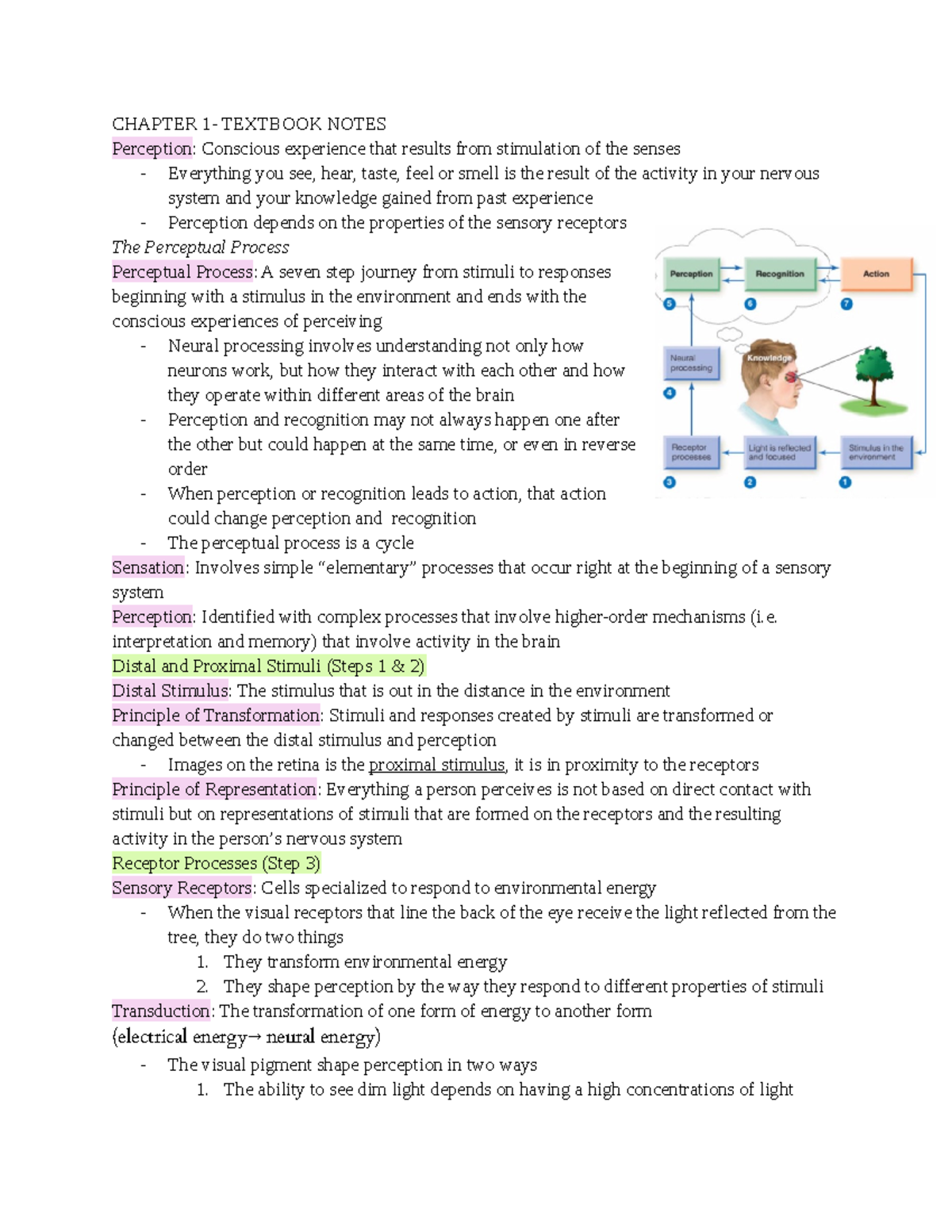PS261 Chapter 1-6: Notes on Sensation and Perception Processes - Studocu