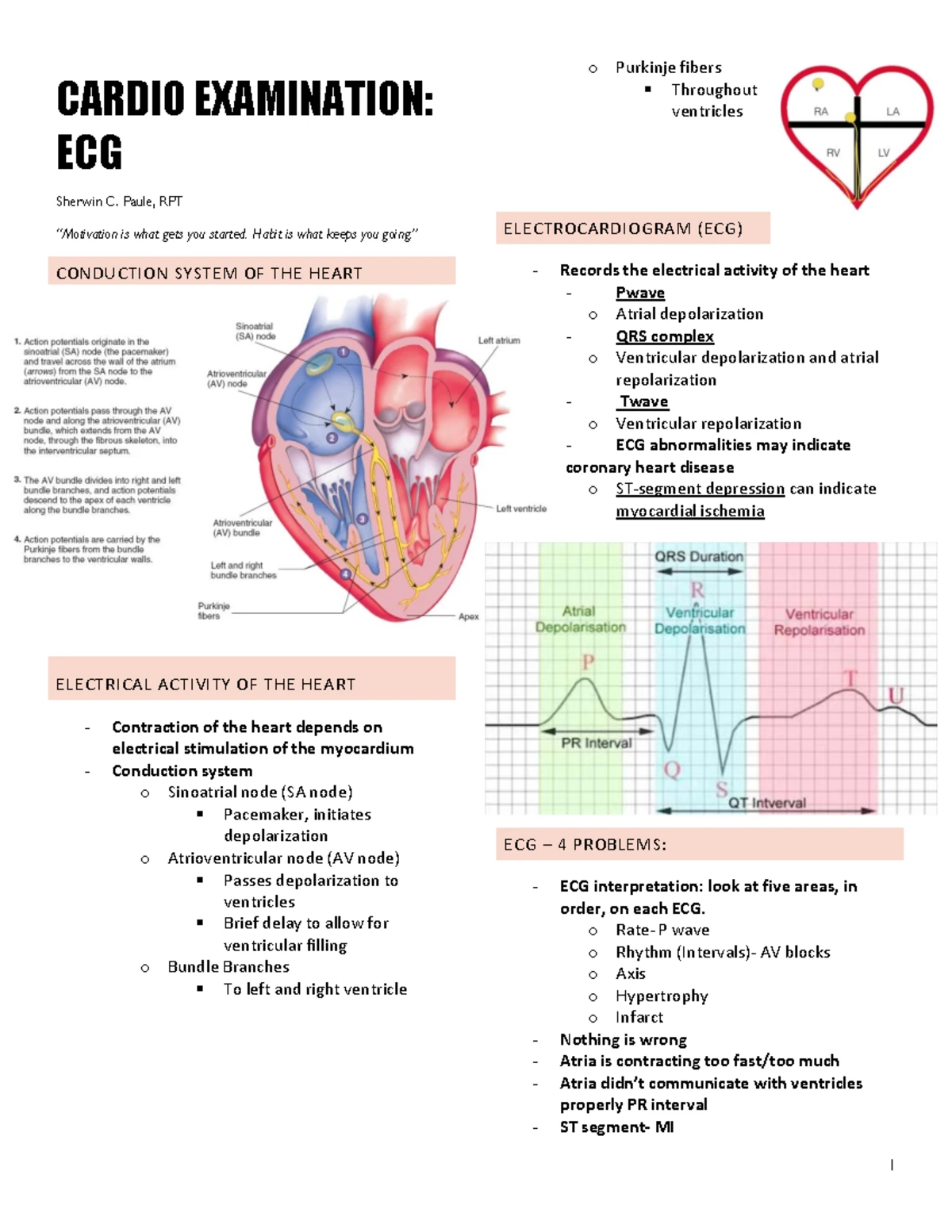 Cardio Anatomy & Blood Flow Overview: Cardiovascular System Insights ...