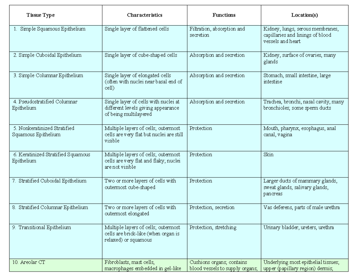 Tissue Types Overview: Characteristics & Functions Study Sheet - Studocu
