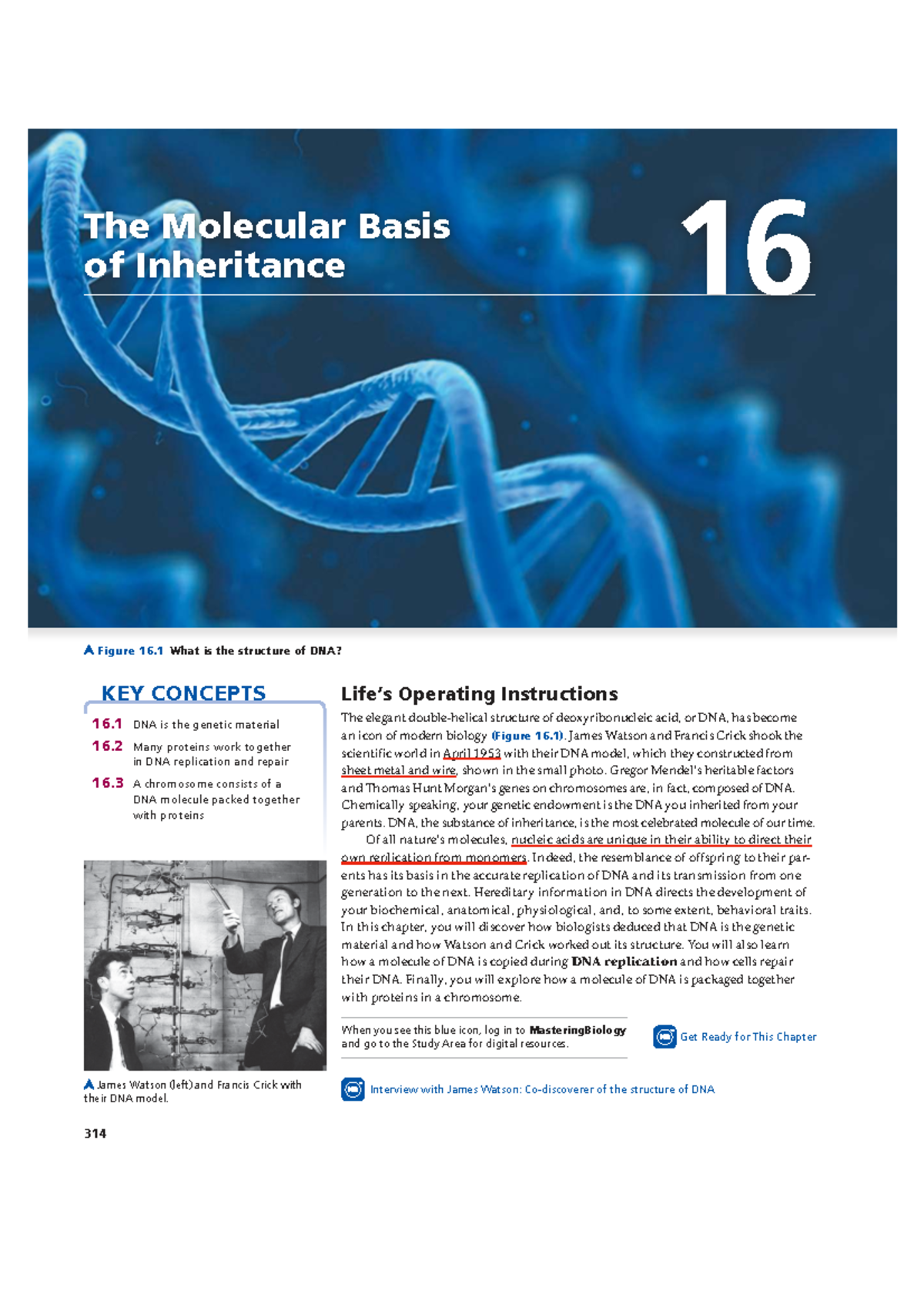 Ch 16 - The Molecular Basis of Inheritance: DNA Structure & Function ...
