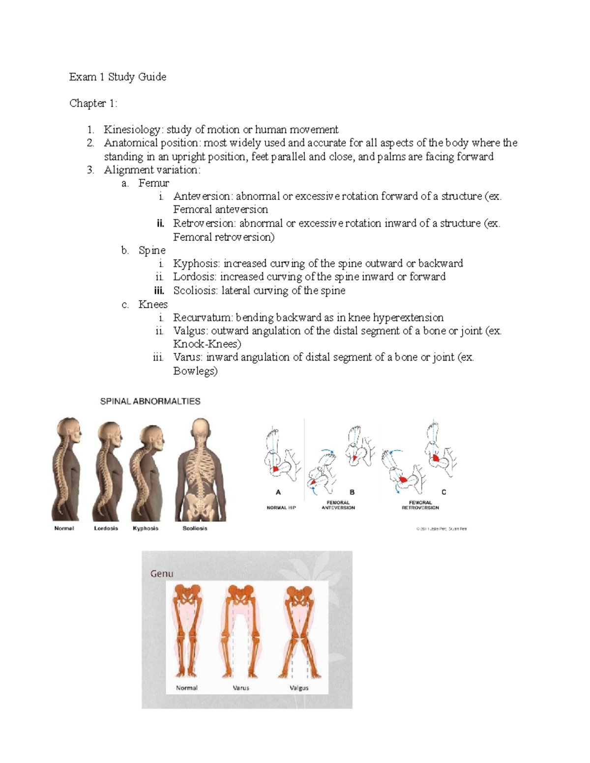 KIN 301 Exam 1 Study Guide: Key Concepts in Kinesiology - Studocu