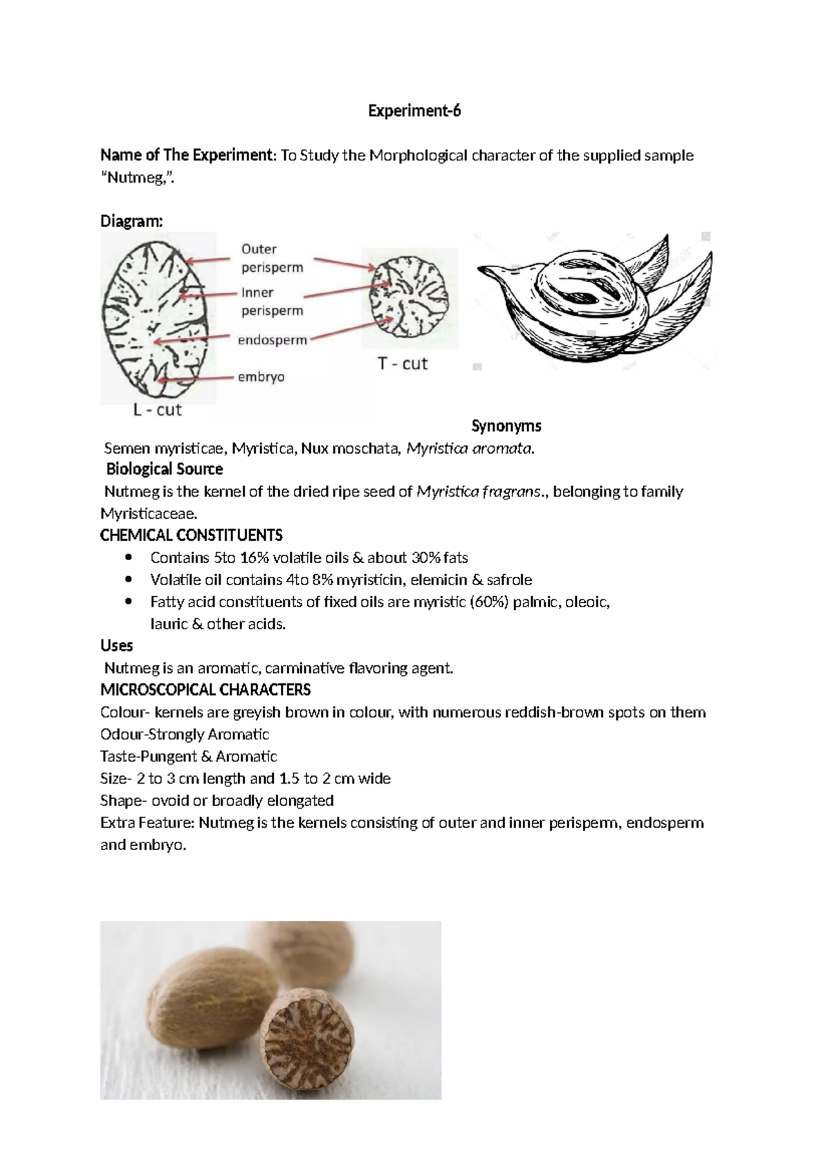 Experiment 6: Morphological Study of Nutmeg - D.Pharm 1st Year - Studocu