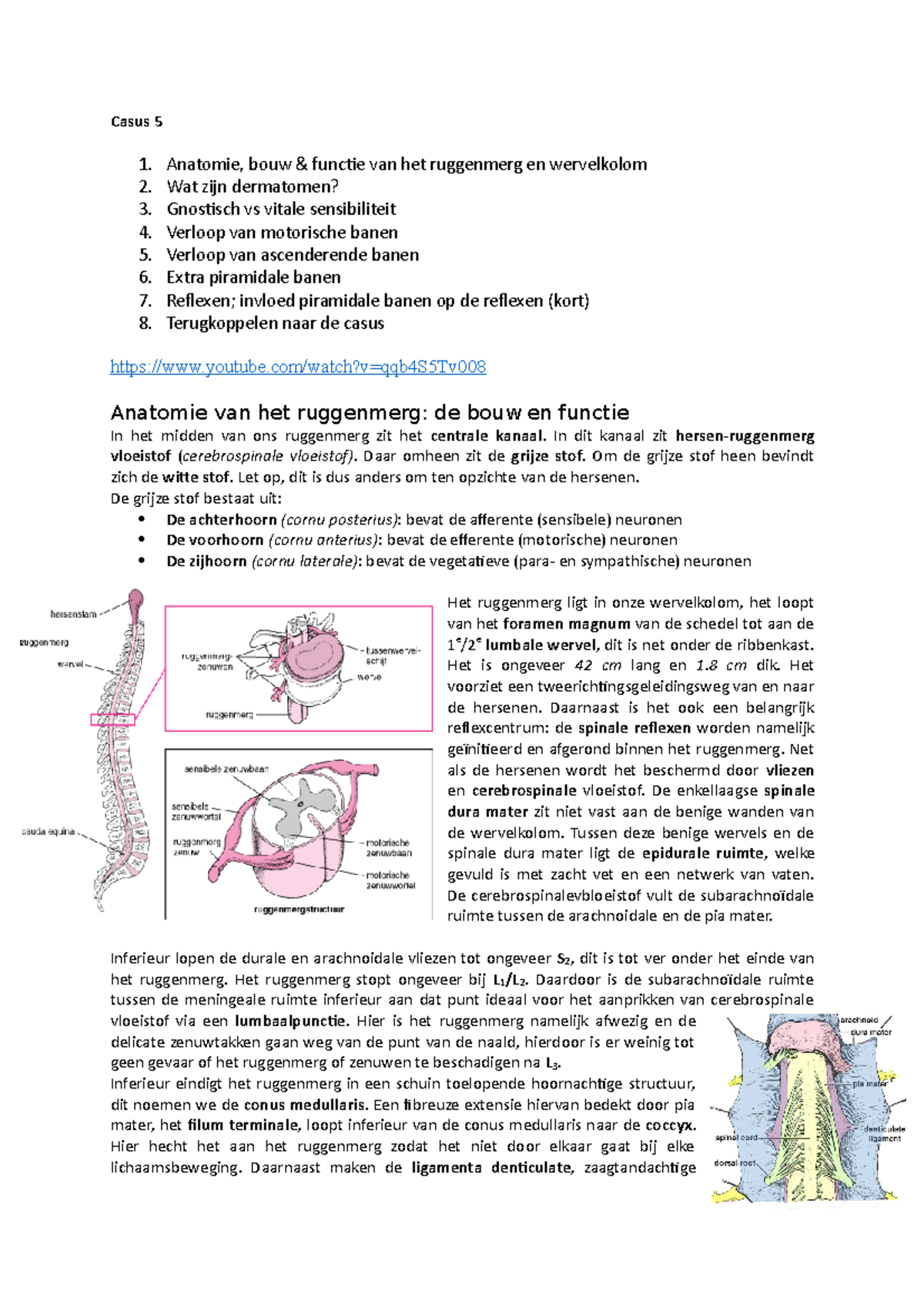 Casus 5: Ruggenmerg Anatomie & Functie in Blok 4 Jaar 1 - Studeersnel