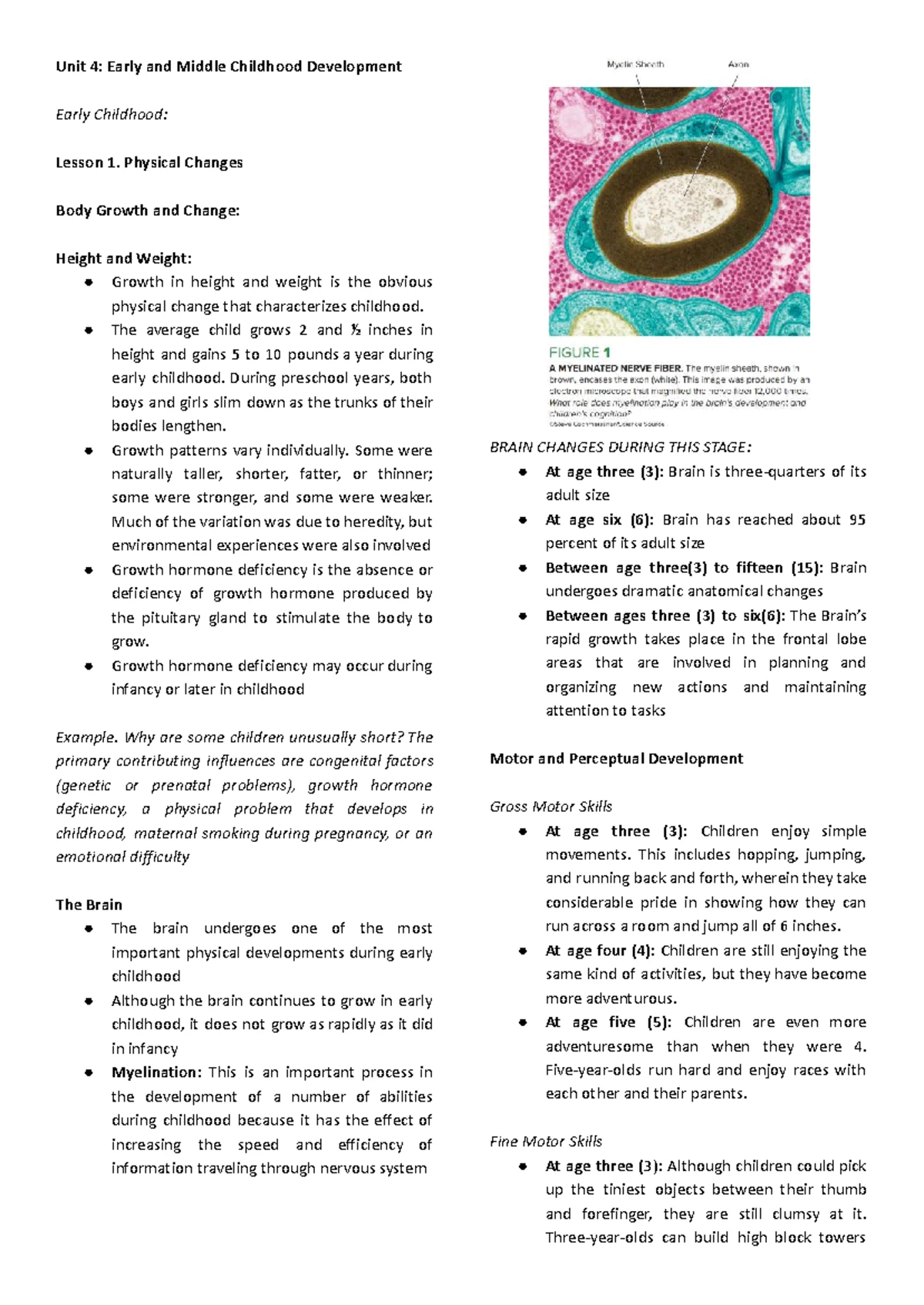 APEC Schools Grade 11 Project Proposal: Dengue-Free ME Awareness ...