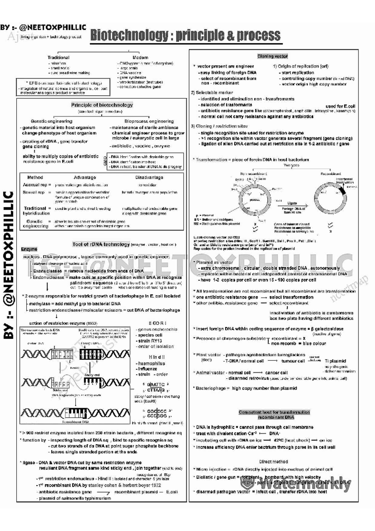 Biotechnology Principles & Processes: Short Notes for A1 Course - Studocu