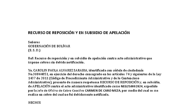 Recurso de Reposición y Apelación de Carolin Álvarez a Gobernación de