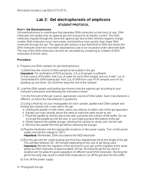 Safety Guidelines - Microbiological Laboratory Safety Guidelines You ...
