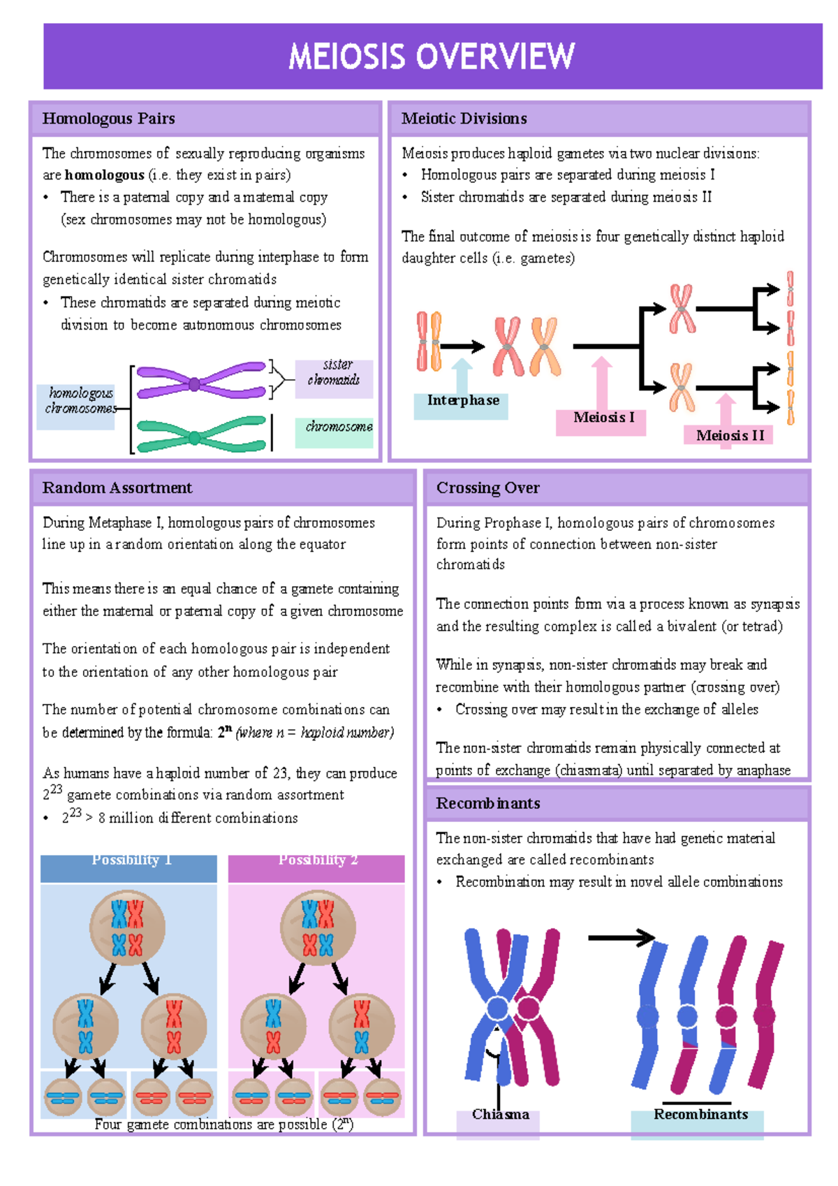 10.1 Meiosis Overview - Comprehensive Summary of Key Concepts - Studocu