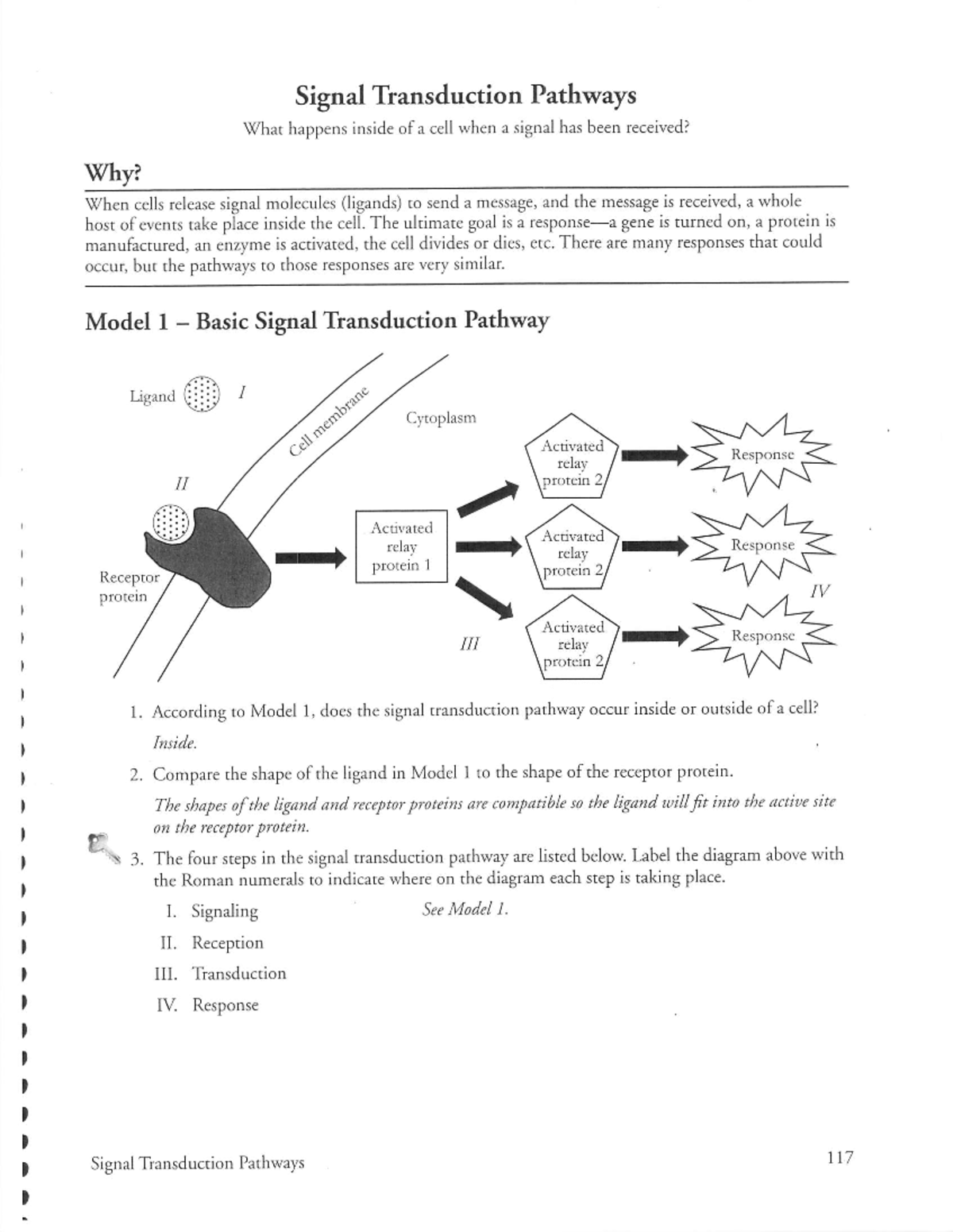 Pogil - Key Concepts of Signal Transduction Pathways in Biology - Studocu