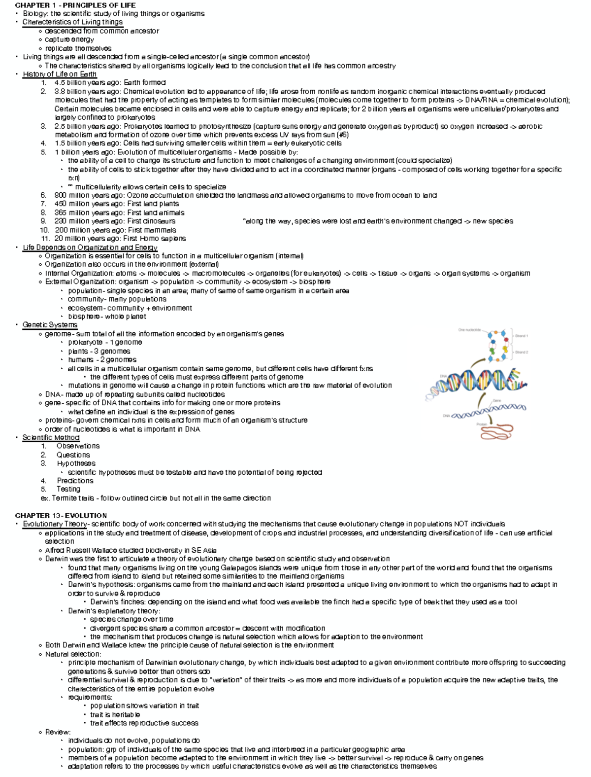 Bio 101 Exam 1 Review: Principles of Life & Evolution Concepts - Studocu