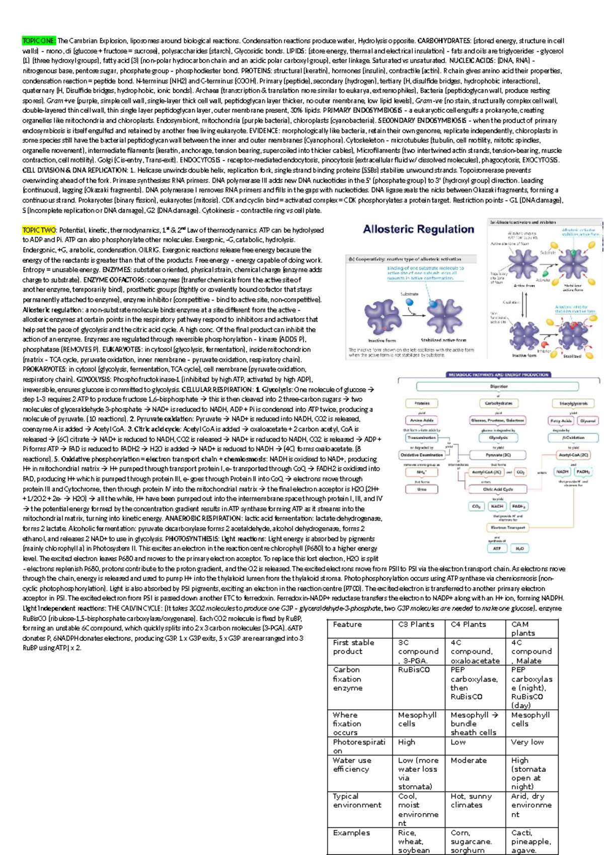 BIOL 101 Cheat Sheet: Final Exam Review on Cellular Processes and ...